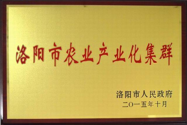 4.洛陽(yáng)市農業(yè)產(chǎn)業(yè)化集群2015.10